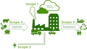 Scope 1 og 2 stammer fra CO2-udledninger fra brændstof- og energiforbrug. Scope 3 indeholder CO2-udledninger der sker ude i vores værdikæde fra alle de råvarer, hjælpestoffer og maskiner, som vi køber.